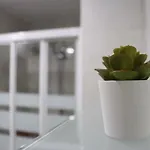 Maravilloso, nuevo y céntrico en Málaga 2